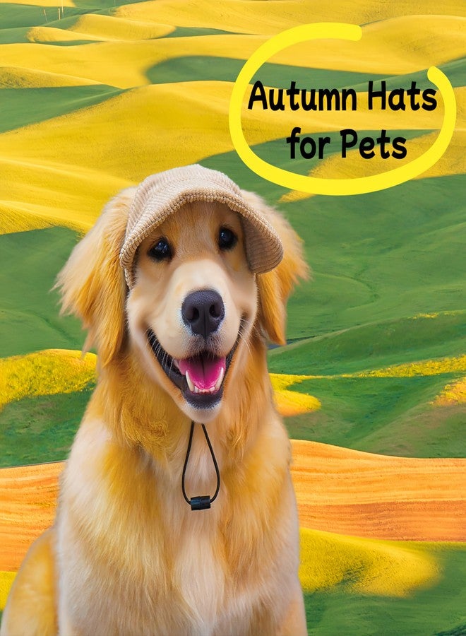 ETOFIXEE Pet Baseball Cap with Ear Holes - Multi-Color Sun Visor Hat for Dogs & Cats, Summer & Fall Beach Headwear for Puppies & Kittens (Blue, M) - Image 2