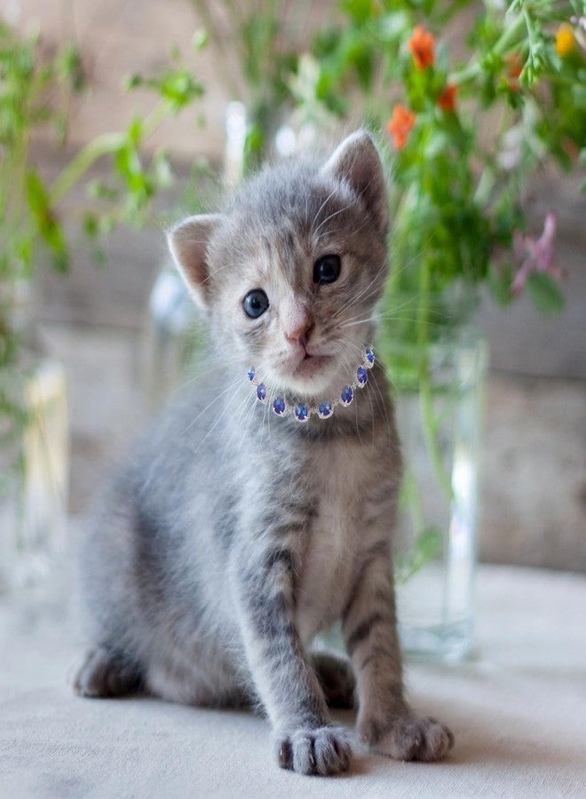 PRETYZOOM Water Crystal Pet Necklace Dog Collar Decorative Small Puppy Accessory Blue s Safe for Pet Skin - Image 5
