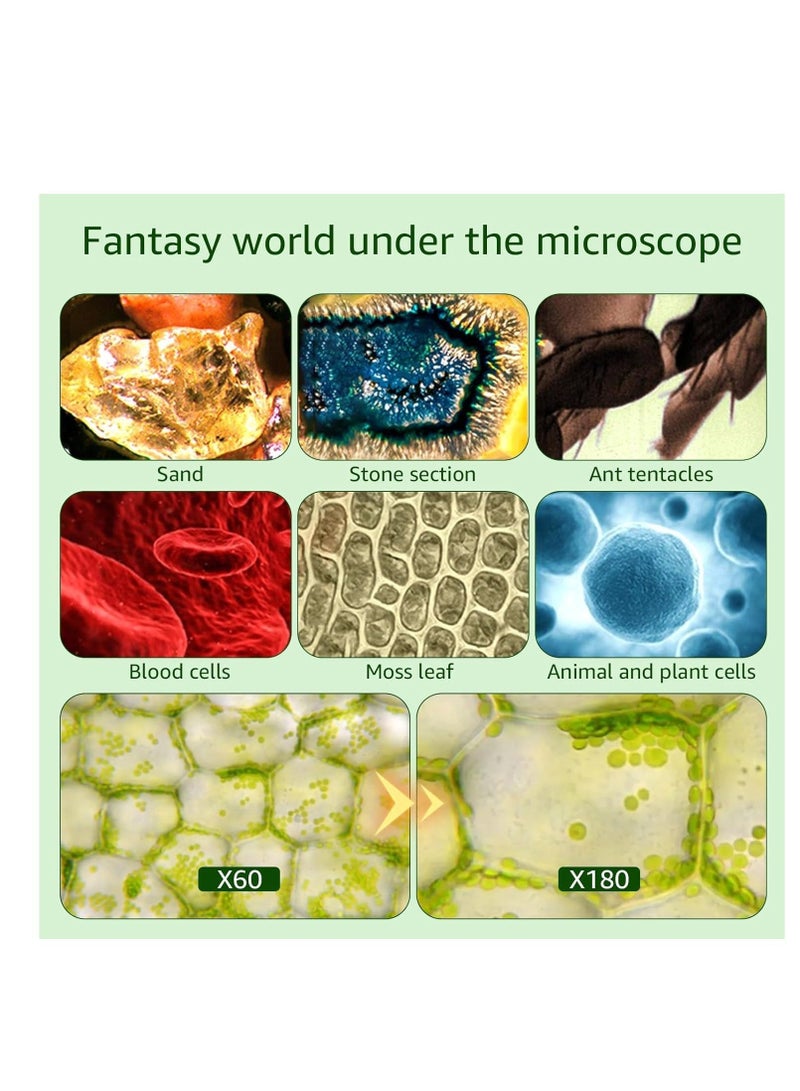 Portable Microscope for Kids, Handheld Miniscope for Kids, Mini Labsters Portable Microscope for Kids Ages 8-12, Pocket Microscope 60x-180x, for STEM Educational Toy, Scientific Experiment - Image 3