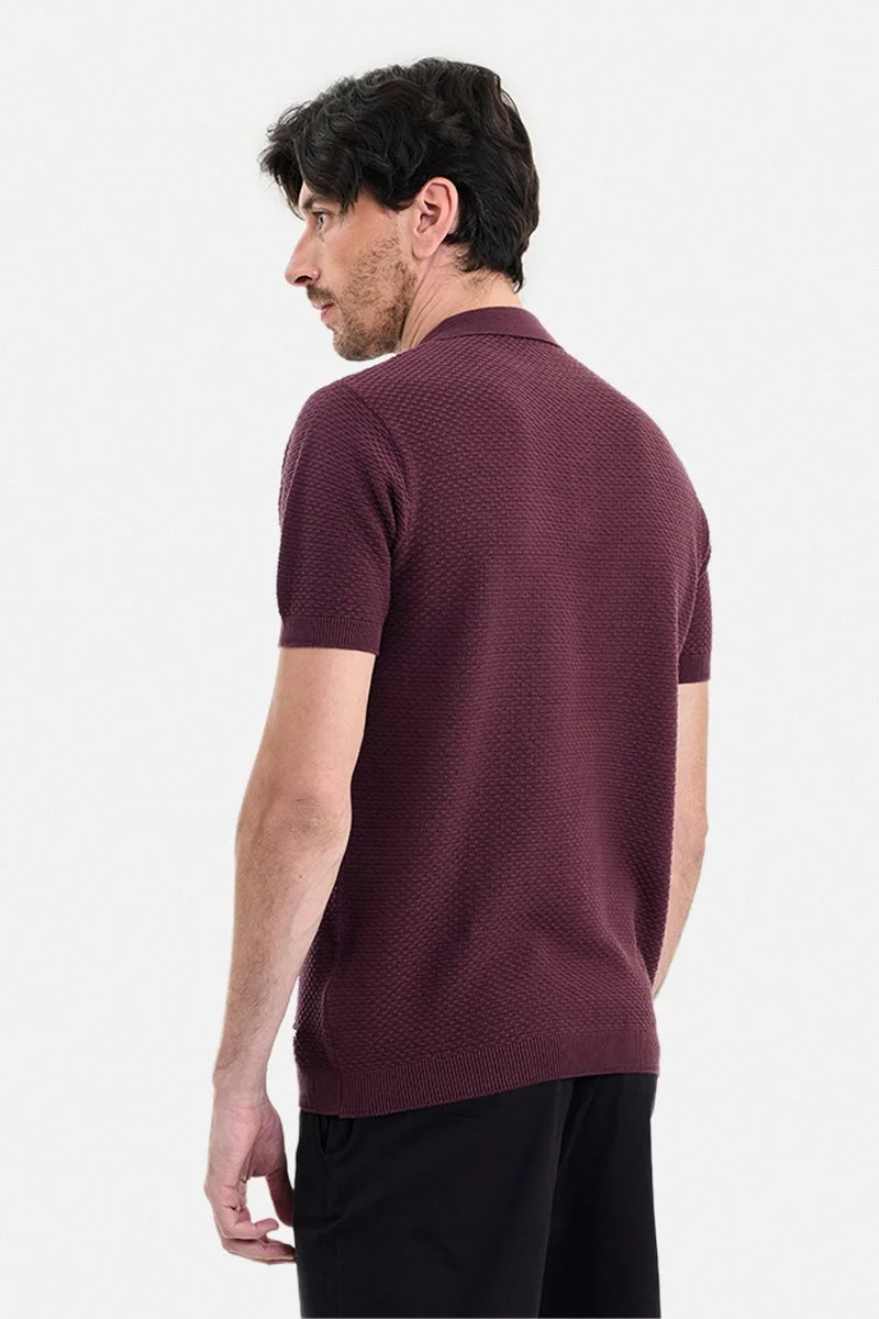 Snitch Catawba Grape Catawba Grape Textured Half Sleeve Regular Fit T-Shirt for Men | Best Price UAE