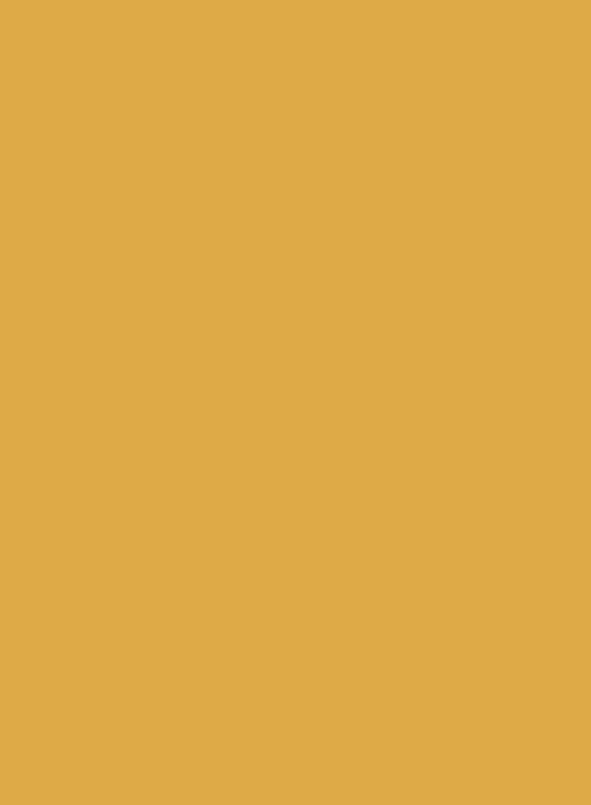 Vallejo Acrylic Model Color 17 ml, No. 121 Yellow Ochre - Image 2