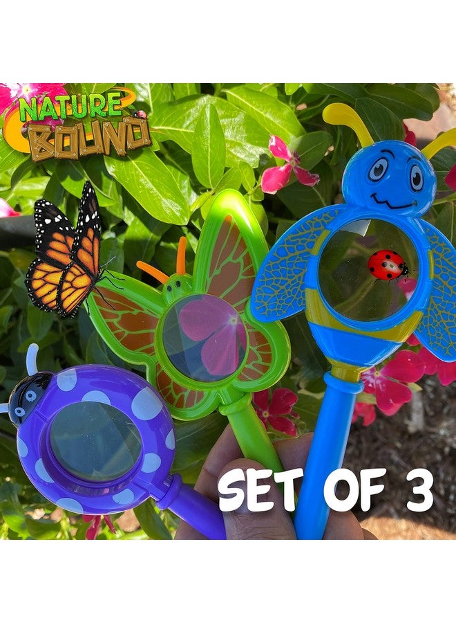 Nature Bound Magnifying Glass, Set Of Three, With Shatterproof Lens For Boys And Girls - Image 3