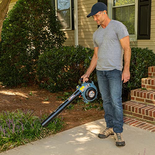 SENIX 4QL 26.5 cc 4-Cycle Handheld Gas Powered Leaf Blower for Lawn Care Clean Up, Up to 410 CFM and 125 MPH, Light Weight, Dual Grip Handle, BL4QL-L, Blue - Image 2