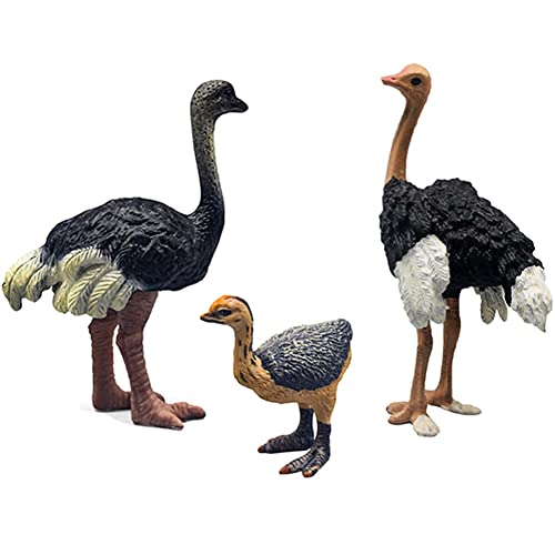 DOYIFUN 3 Pcs Realistic Ostrich Family Figurines Cake Topper Plastic Wildlife Ostrich Animal Toy Figures Collection Playset Birthdat Gift Educational Learning Props - Image 1