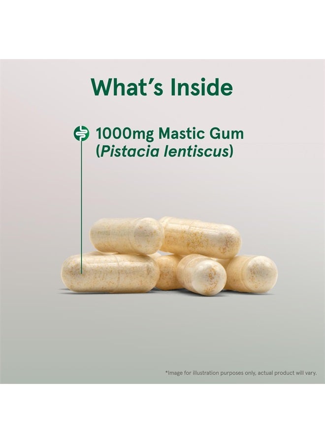 jarrow formulas Mastic Gum 1000 mg - for Gastric Health - 120 Veggie Caps - Naturally Sourced Formula Supporting Stomach & Duodenal Health - Dietary Supplement - 60 Servings - Vegan - Image 5