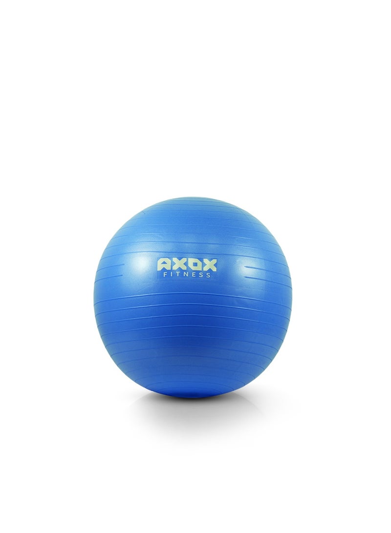 أكسوكس كرة الجمباز المقاومة للانفجار من **AXOX Fitness** مع مضخة سريعة 75 سم – كرة يوجا وتمارين غير قابلة للانزلاق للبيلاتس، التوازن، الحمل، وتدريبات الثبات – تتحمل حتى 200 كغ – متوفرة بمقاسات متعددة. - Image 1