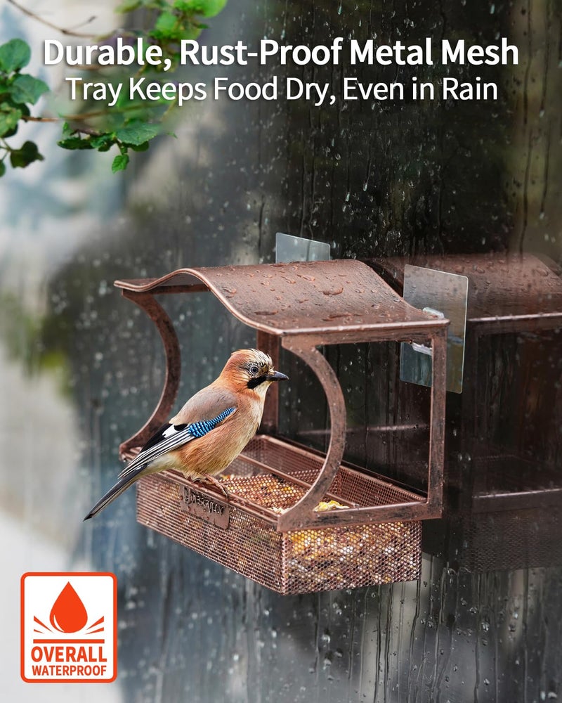 DesGully Window Bird Feeder, Metal - with Strong Suction Cups, Large Outdoor for Viewing Bird Watching Gift (Curved) - Image 5
