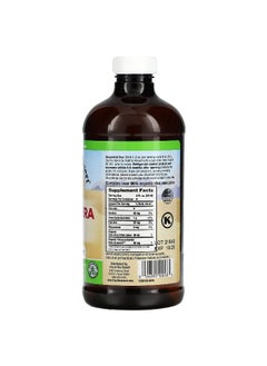 Lily Of the Desert Lily of the Desert, Aloe Vera Gel, Inner Fillet, 16 fl oz (473 ml)  - Image 2