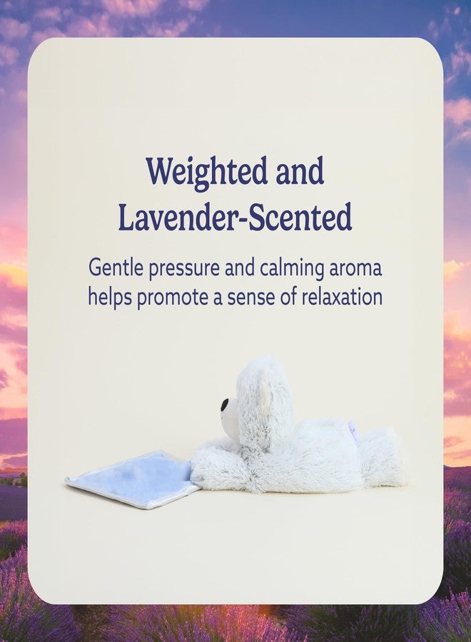 warmies Stuffed Animal Security Blankets for Babies, Brown Bear - Microwavable & Weighted Stuffed Animal Blanket for Baby Boys & Girls - Cute Soft Plush Toys with Child Safe Design for All Ages - Image 4