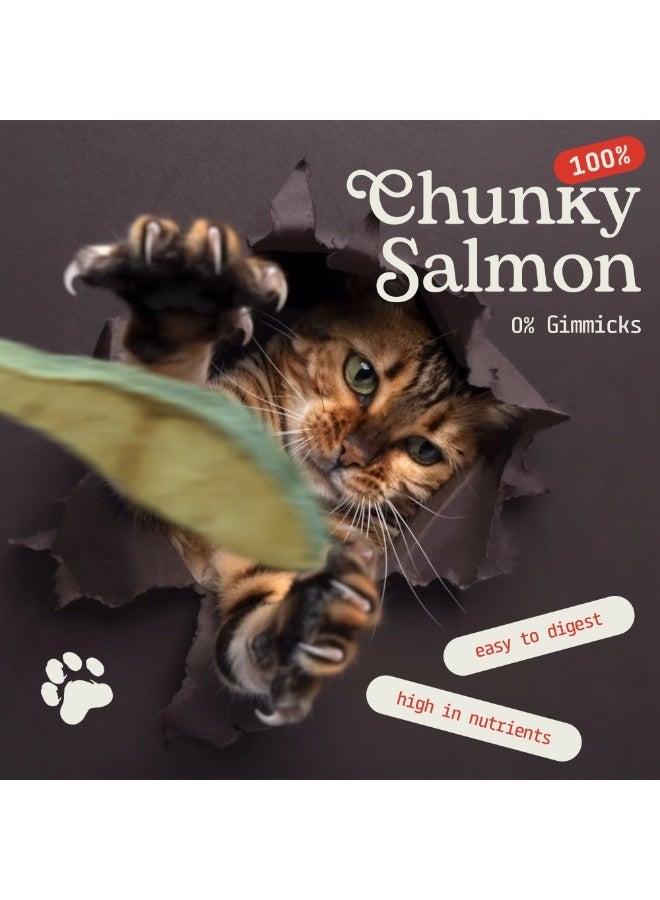 Carnibites Freeze-Dried Chunky Salmon – 100% Natural Single-Ingredient Snacks for Cats & Dogs – High-Protein, Grain-Free, All-Natural Pet Snacks (100g) - Image 2