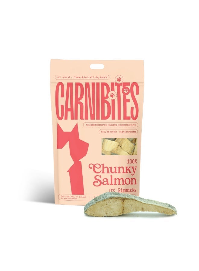 Carnibites Freeze-Dried Chunky Salmon – 100% Natural Single-Ingredient Snacks for Cats & Dogs – High-Protein, Grain-Free, All-Natural Pet Snacks (100g) - Image 1