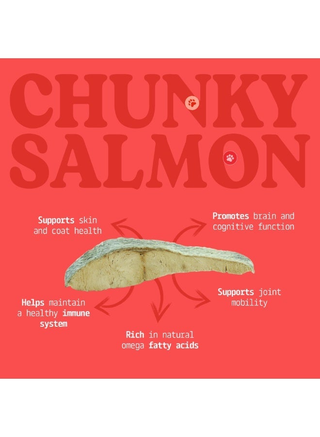 Carnibites Freeze-Dried Chunky Salmon – 100% Natural Single-Ingredient Snacks for Cats & Dogs – High-Protein, Grain-Free, All-Natural Pet Snacks (100g) - Image 4