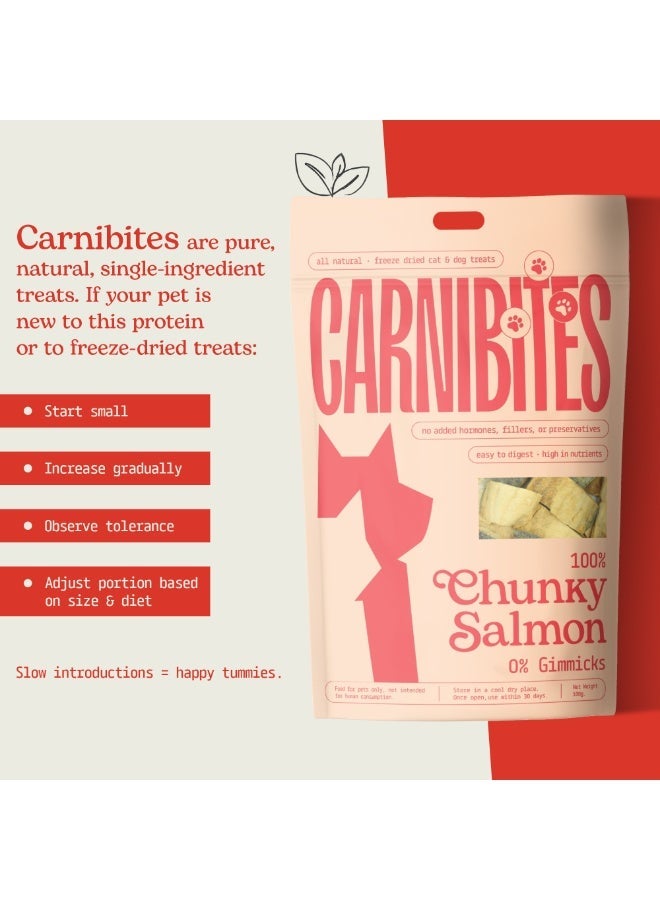 Carnibites Freeze-Dried Chunky Salmon – 100% Natural Single-Ingredient Snacks for Cats & Dogs – High-Protein, Grain-Free, All-Natural Pet Snacks (100g) - Image 3