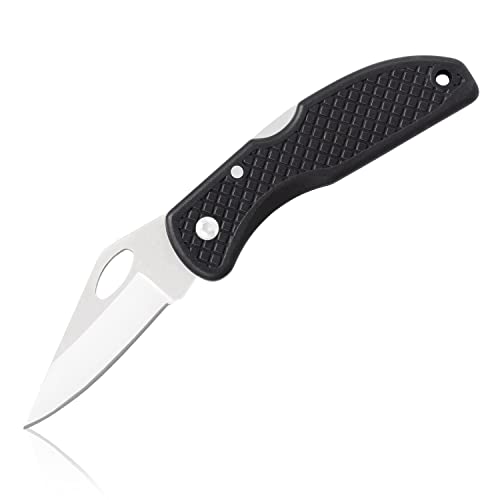 Maxam Falcon VII Lockback 7 (Open) Inch Pocket Knife - Stainless Steel Honed Blade, Textured No-Slip Handle, Carry Clip - Image 5
