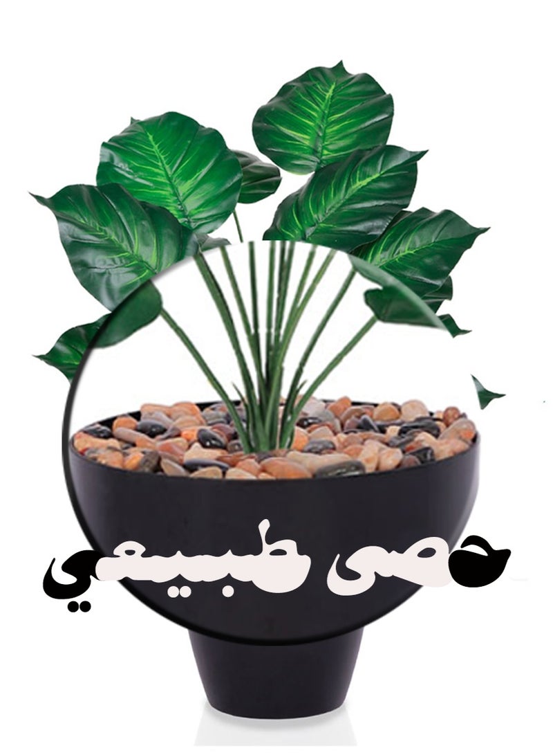 Alrassi Artificial Heart-Leaf Plant – 60 cm Height – Elegant Design in Natural Green for Home or Office Décor - Image 3