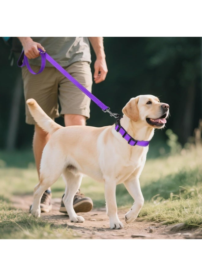 Q TRIPLE A Reflective Dog Collar with Soft Neoprene Padding, Metal D-Ring and Adjustable Length, Premium Nylon Material (Color: Purple) - Image 5