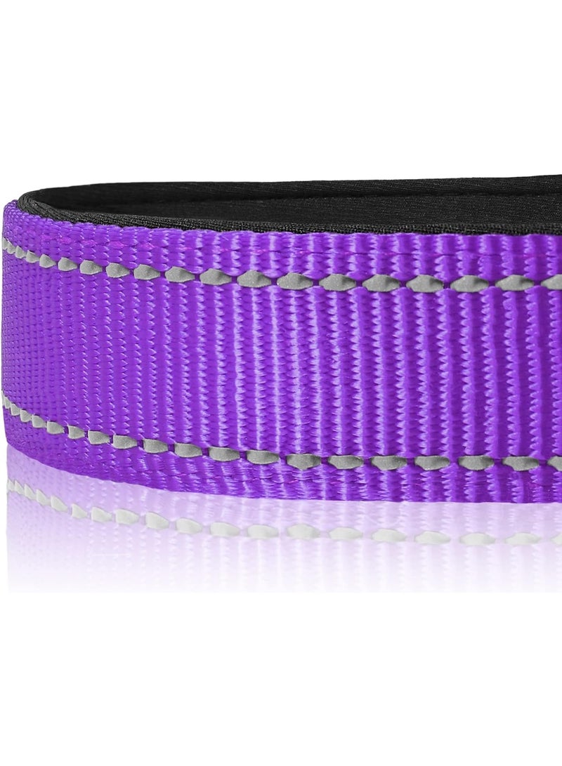 Q TRIPLE A Reflective Dog Collar with Soft Neoprene Padding, Metal D-Ring and Adjustable Length, Premium Nylon Material (Color: Purple) - Image 2