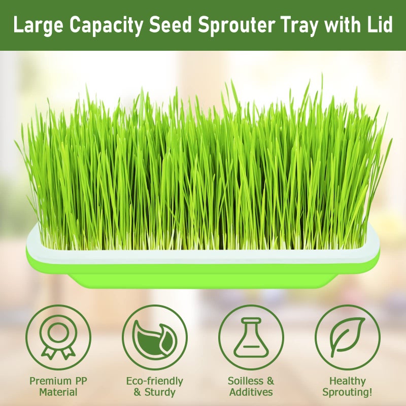 Legigo 10 Pack Green Seed Sprouter Trays- Soil-Free Cultivation Germination Tray, BPA Free Nursery Tray with Planting Paper for Indoors or Outdoors Sprouting Seeds, Grow Grass, Beans (Without Lids) - Image 4