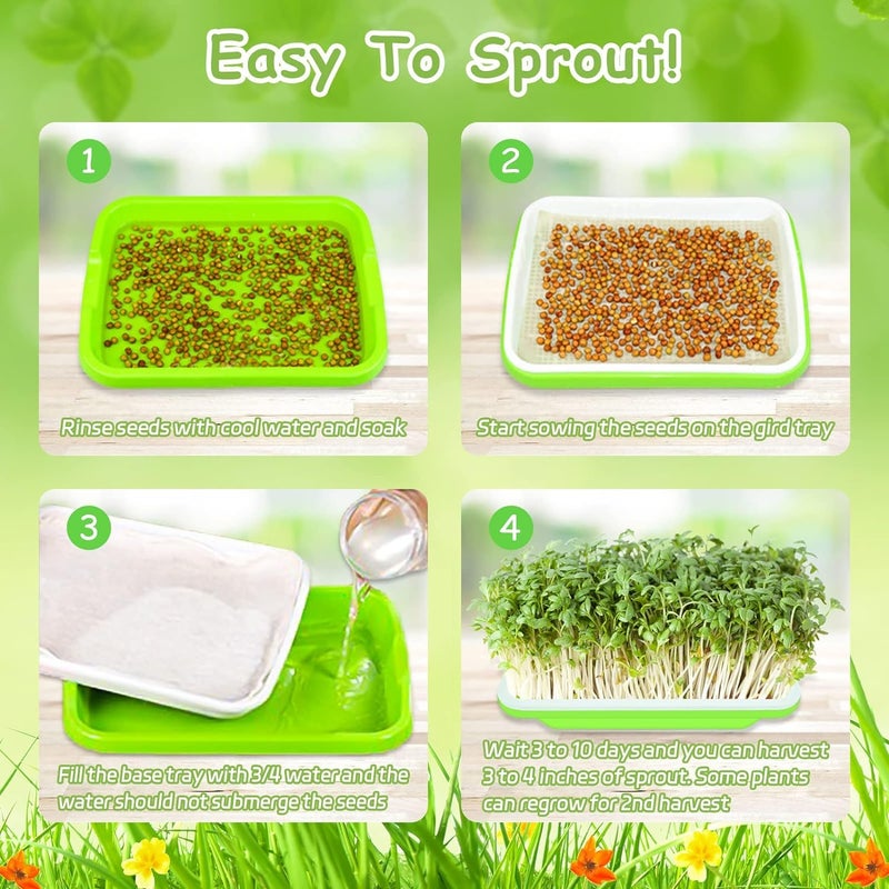 Legigo 10 Pack Green Seed Sprouter Trays- Soil-Free Cultivation Germination Tray, BPA Free Nursery Tray with Planting Paper for Indoors or Outdoors Sprouting Seeds, Grow Grass, Beans (Without Lids) - Image 5