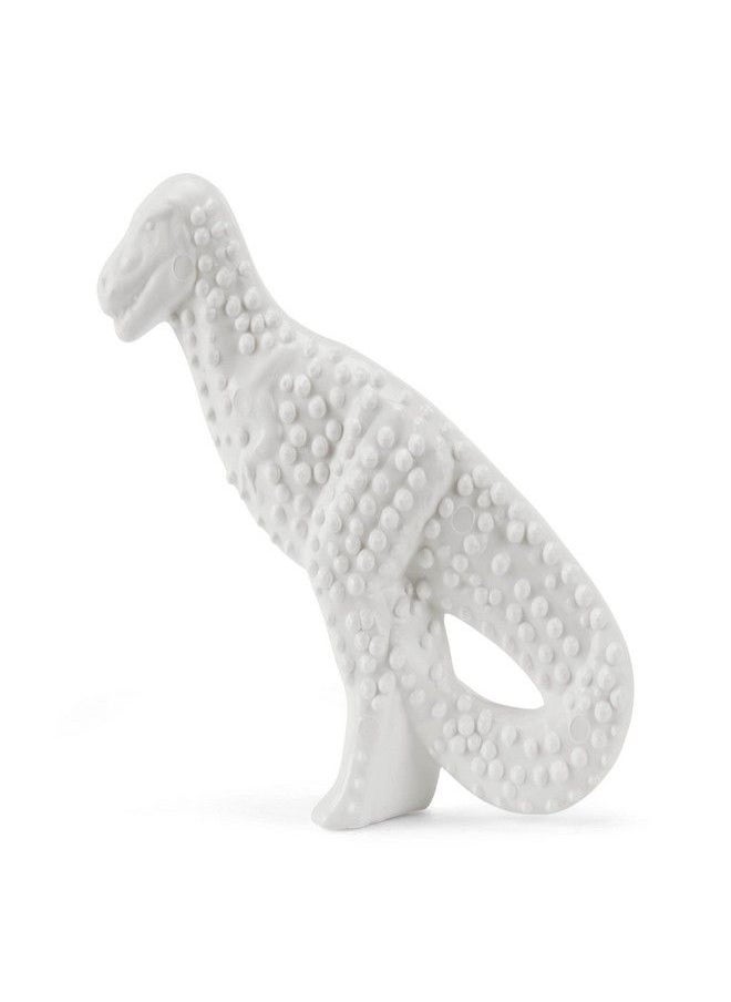 Nylabone - Nylabone Dura Chew Original Flavored Dental Dinosaur Chew Toy, Dinosaur Style Varies - Image 1