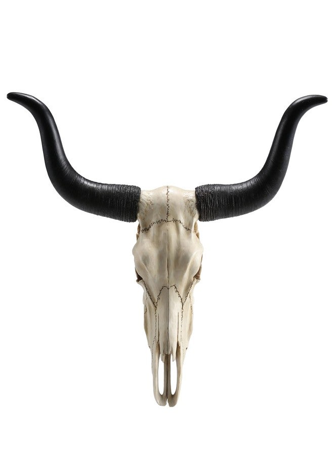 فيرونيز ديزاين تصميم فيرونيز، جمجمة حيوان بقرون طويلة بطول 14 بوصة، منحوتة جدارية من الراتنج - Image 2