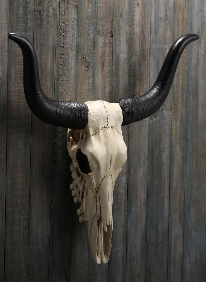 فيرونيز ديزاين تصميم فيرونيز، جمجمة حيوان بقرون طويلة بطول 14 بوصة، منحوتة جدارية من الراتنج - Image 5