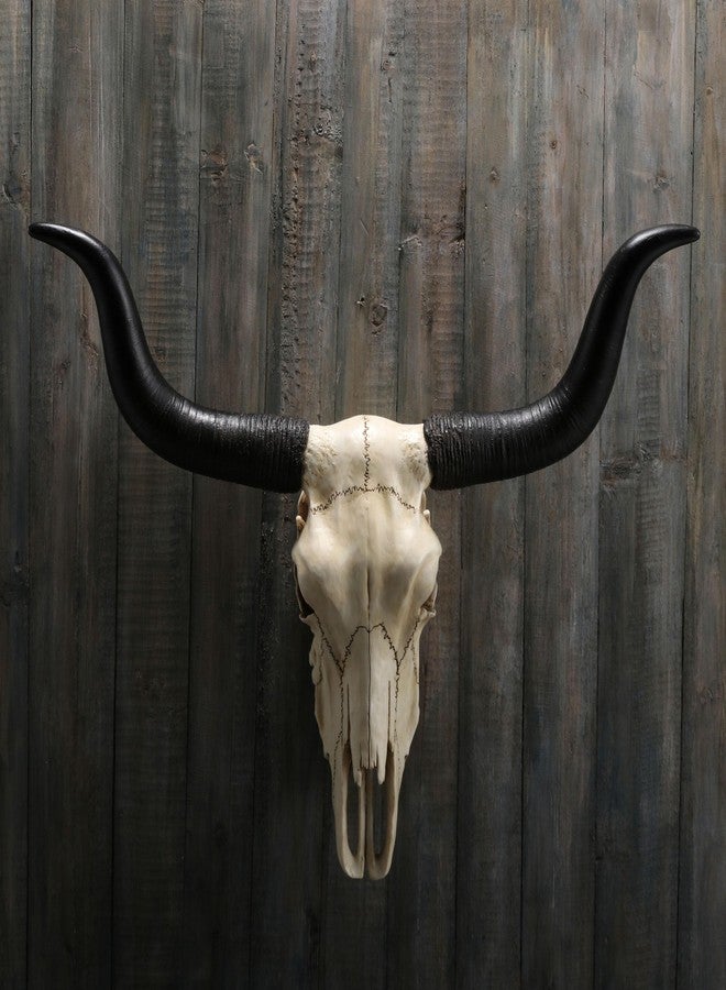 فيرونيز ديزاين تصميم فيرونيز، جمجمة حيوان بقرون طويلة بطول 14 بوصة، منحوتة جدارية من الراتنج - Image 4