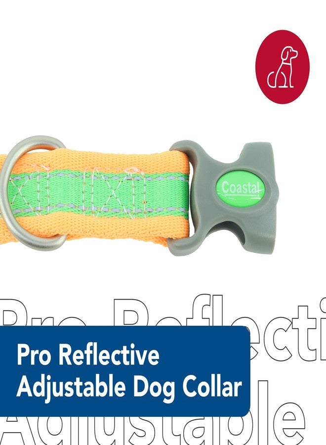 Coastal Pet - Pro - Reflective Adjustable Dog Collar, Lime with Orange, 1" x 14-20" - Image 2