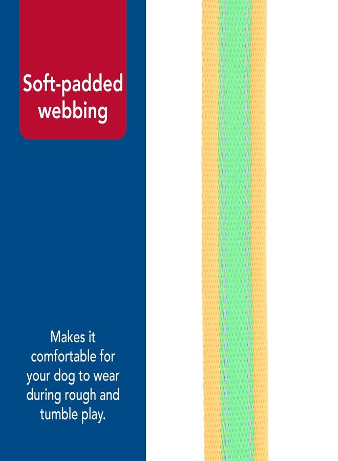 Coastal Pet - Pro - Reflective Adjustable Dog Collar, Lime with Orange, 1" x 14-20" - Image 5