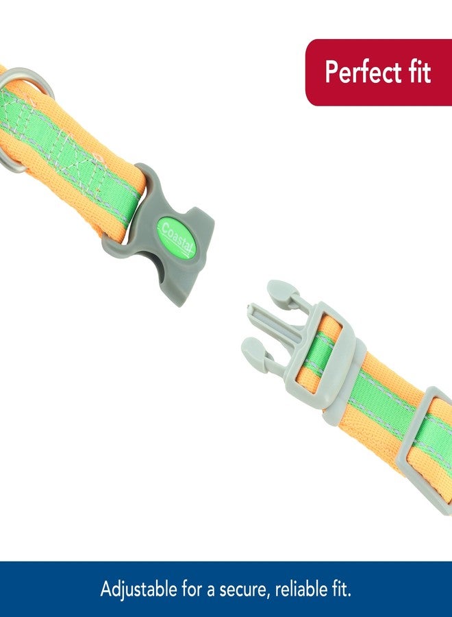 Coastal Pet - Pro - Reflective Adjustable Dog Collar, Lime with Orange, 1" x 14-20" - Image 4