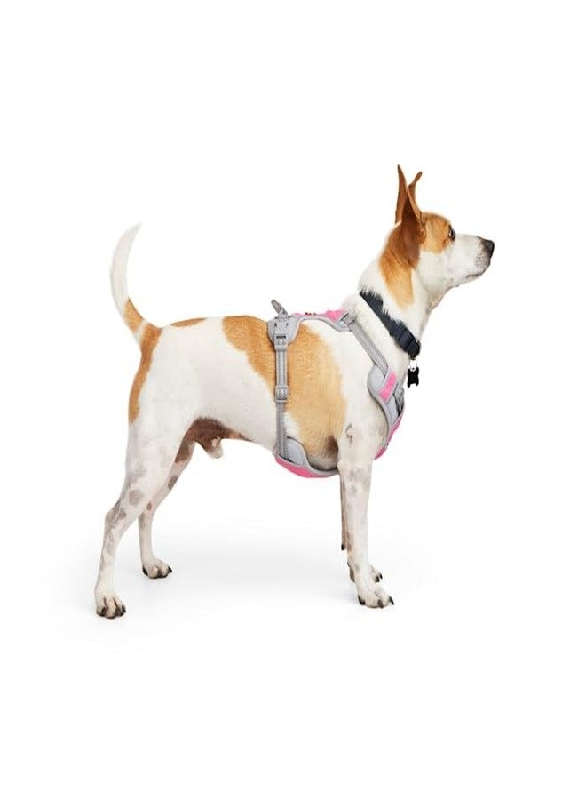 EveryYay by Petco Front Walking Reflective Dog Harness Pink X-Small - Image 2