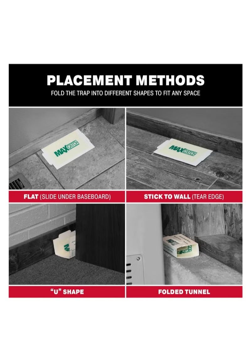 Catchmaster Max-Catch Mouse & Insect Glue Trap 72MB,12 Pieces  Mouse Traps Indoor for Home, Sticky Pest Control Adhesive Tray for Catching Bugs, Rats & Rodents, Non Toxic Bulk Pre-Baited Glue Boards - Image 3
