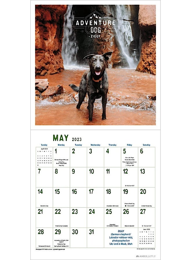 ADVENTURE DOGS 2023 WALL CALENDAR  - Image 4