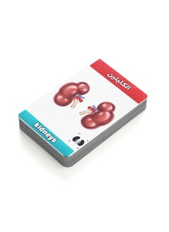 Generic Flash Cards - Augmented Reality - Anatomy  - Image 1