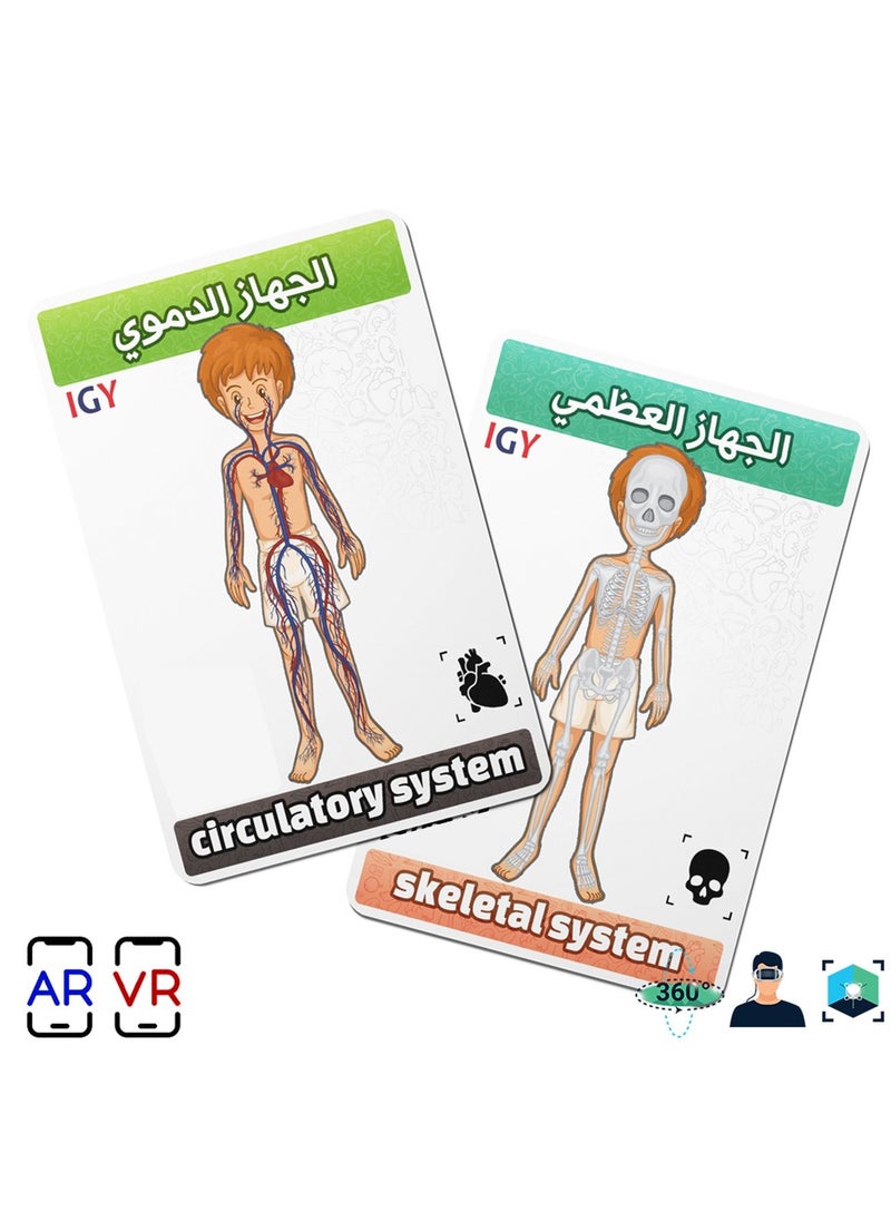 Generic Flash Cards - Augmented Reality - Anatomy  - Image 4