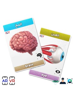 Generic Flash Cards - Augmented Reality - Anatomy  - Image 5