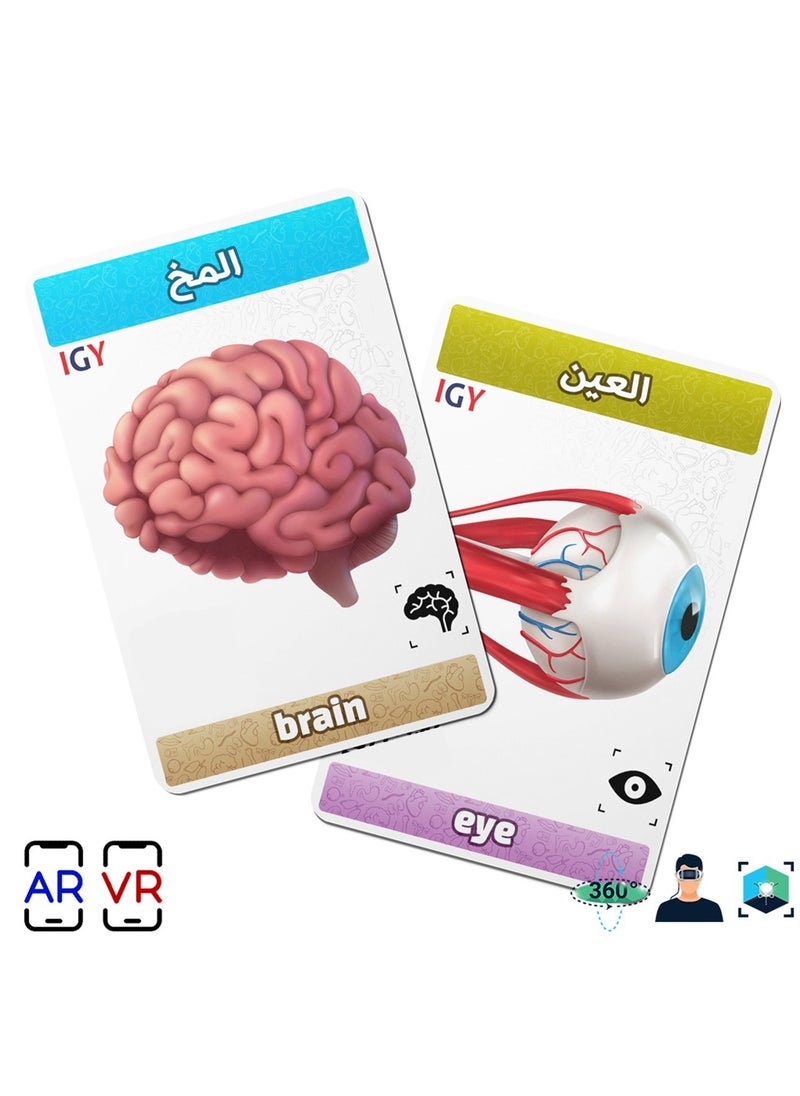 Generic Flash Cards - Augmented Reality - Anatomy  - Image 5