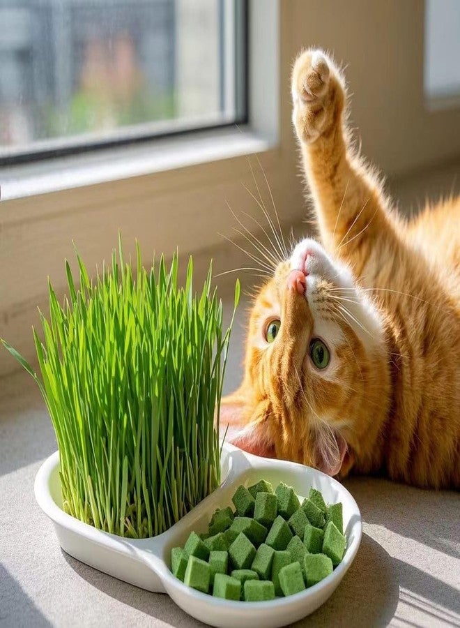 Fangool Freeze-Dried Cat Grass Treats,1.8oz Chicken Freeze-Dried Cat Grass Granules/80% cat Grass Content Hairbal Remedy and Teeth Cleaning Treat - Image 3