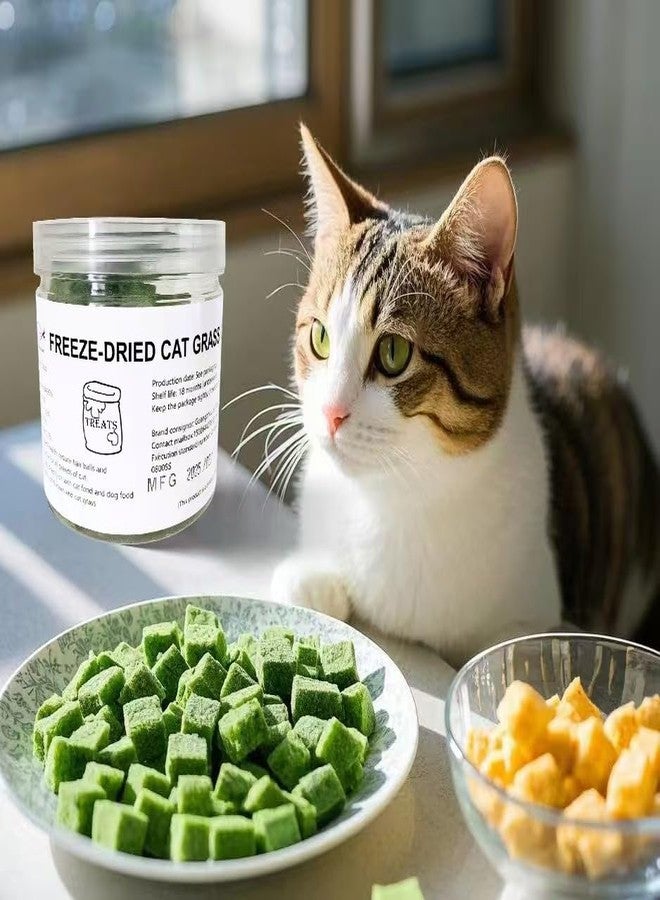 Fangool Freeze-Dried Cat Grass Treats,1.8oz Chicken Freeze-Dried Cat Grass Granules/80% cat Grass Content Hairbal Remedy and Teeth Cleaning Treat - Image 5