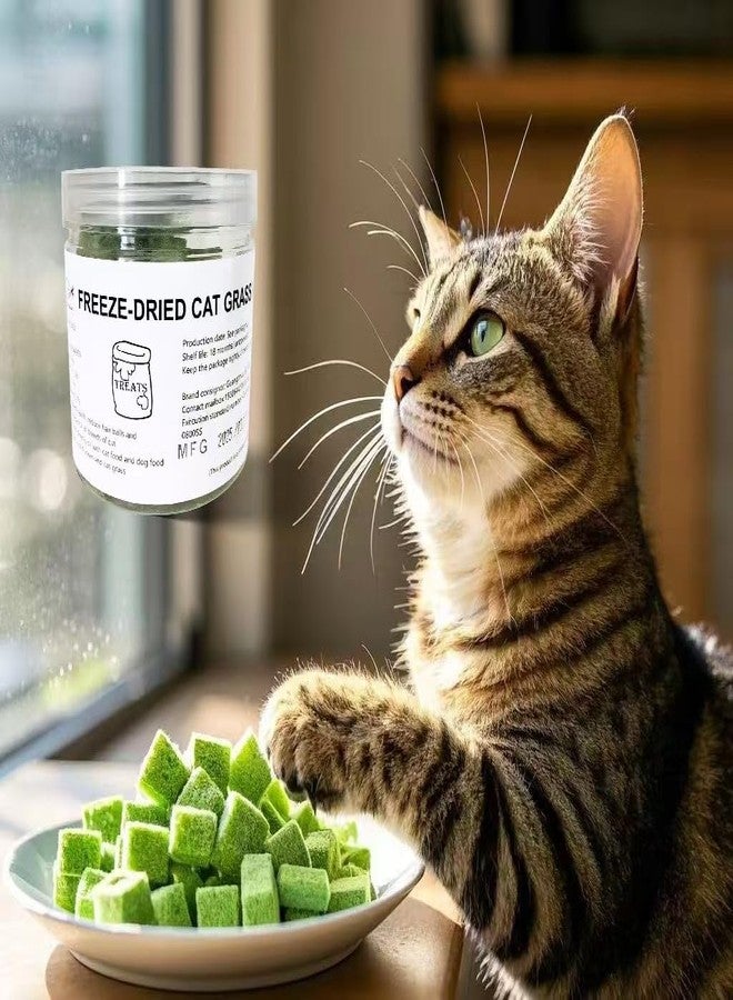 Fangool Freeze-Dried Cat Grass Treats,1.8oz Chicken Freeze-Dried Cat Grass Granules/80% cat Grass Content Hairbal Remedy and Teeth Cleaning Treat - Image 4