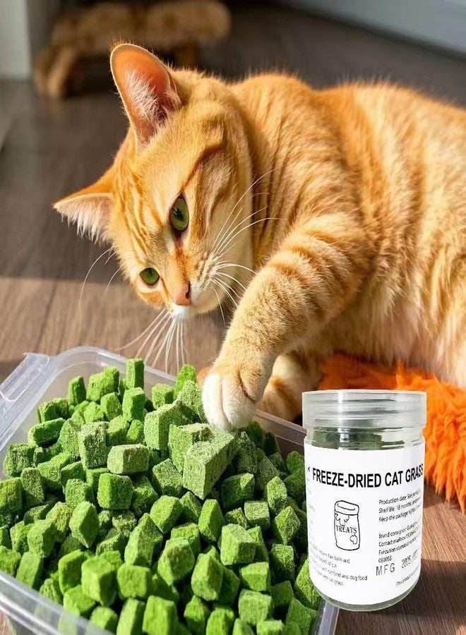 Fangool Freeze-Dried Cat Grass Treats,1.8oz Chicken Freeze-Dried Cat Grass Granules/80% cat Grass Content Hairbal Remedy and Teeth Cleaning Treat - Image 1