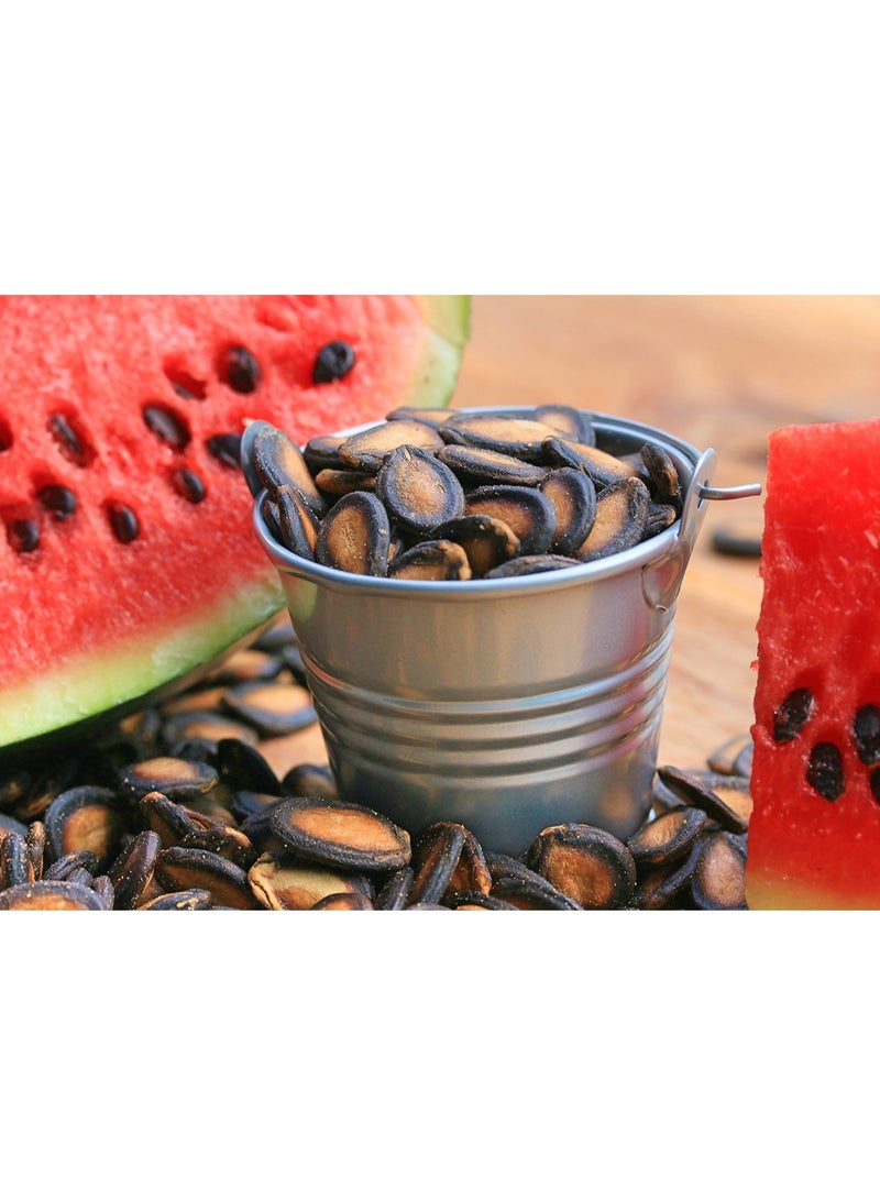 ڤسيل24 جوسي جاردن ديلايت، بذور البطيخ الفاخرة لحصاد الصيف الحلو، 3 عبوات - Image 2