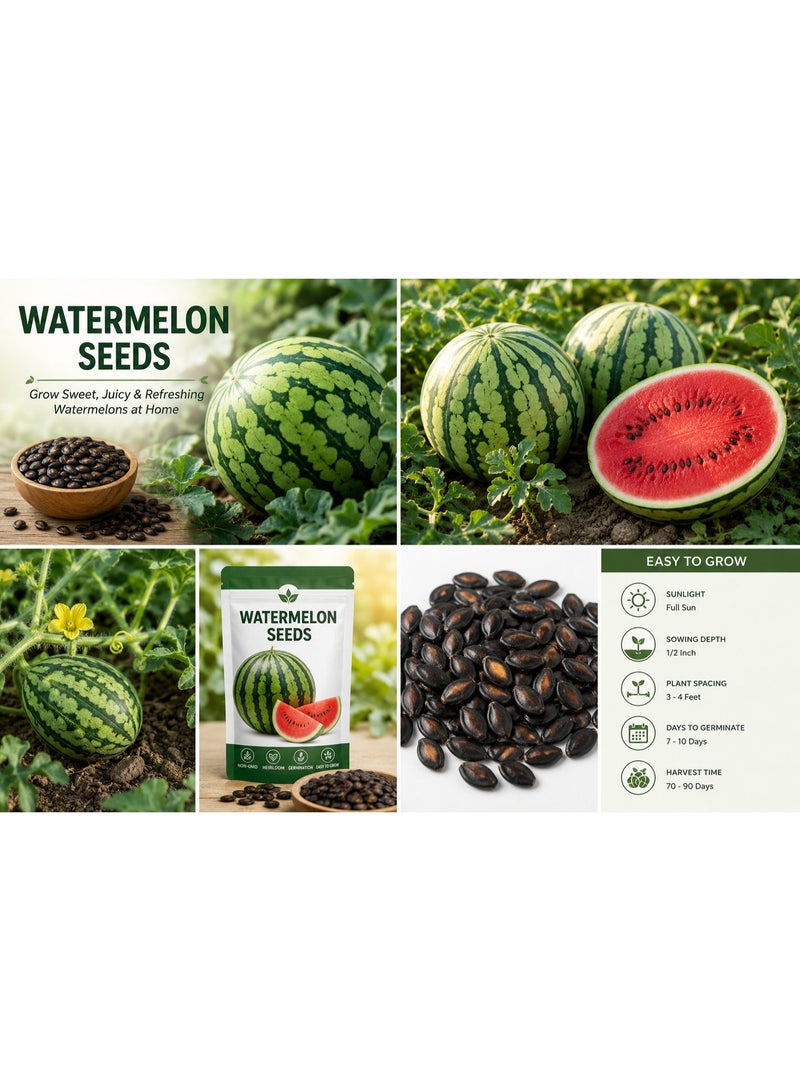 vsell24 PACK OF 3-Juicy Garden Delight Premium Watermelon Seeds for Sweet Summer Harvest - Image 1