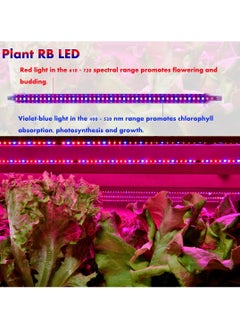 SYOSI SYOSI LED Plant Grow Light Strips, Full Spectrum Grow Light for Indoor Plants with Auto ON and Off Timer, 10 Dimmable Levels with 48 LEDs, Sunlike Grow Lamp for Seedlings Hydroponics  - Image 2