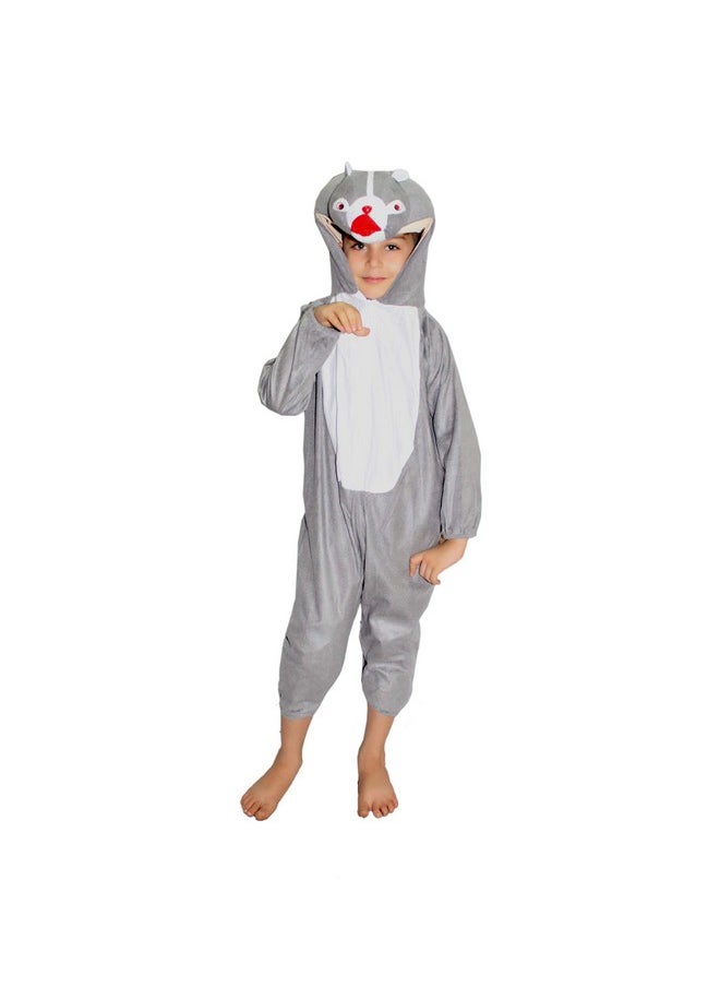 Kaku Fancy Dresses - Kaku Fancy Dresses Polyester Squirrel Animal Costume For Kids - Grey, 5-6 Years | Animal Fancy Dress For Boys & Girls - Image 1