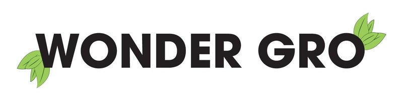 WONDER GRO بلسم شعر وفروة الرأس من وندر جرو بزيت جوز الهند - Image 3