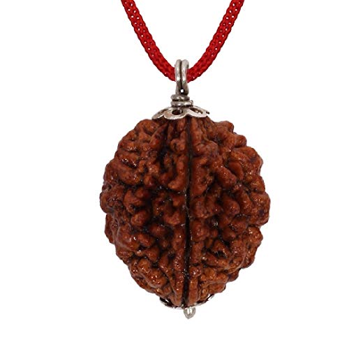 ASTRODIDI 2 Mukhi Ruraksha Two Face Pendant Mantra Siddha and Certified - Image 3