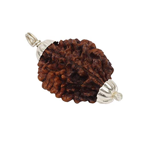 ASTRODIDI 2 Mukhi Ruraksha Two Face Pendant Mantra Siddha and Certified - Image 4