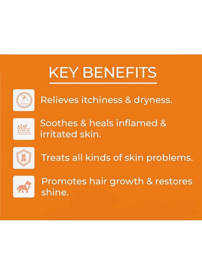 SWACCH Premium Shampoo for Spitz (200ML) (Pack of 2) Jasmine - Image 4