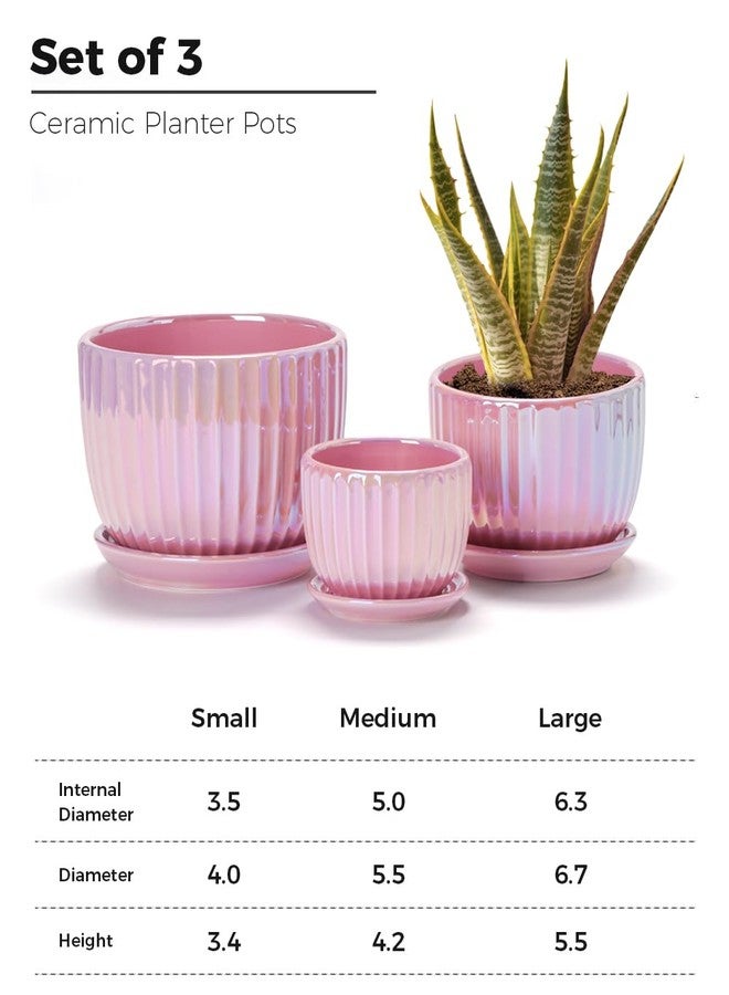 Ton Sin Pink Gold Ceramic Flower Pots, 4"+5"+6" Inch Small Glazed Succulent Planters with Drainage Hole,Modern Indoor Decorative Plant Pots Set of 3,Garden Pots with Saucer - Image 2